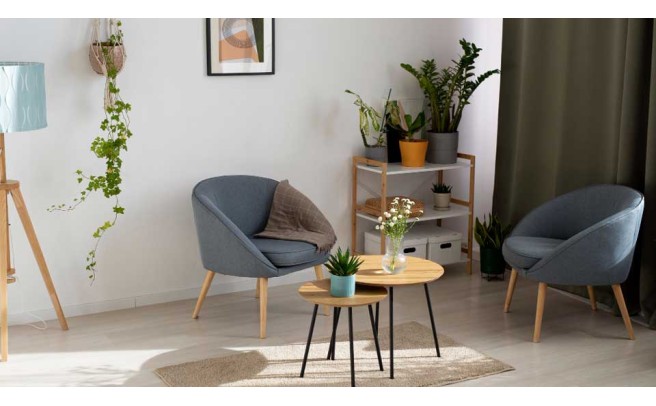 Green Plant Decoration